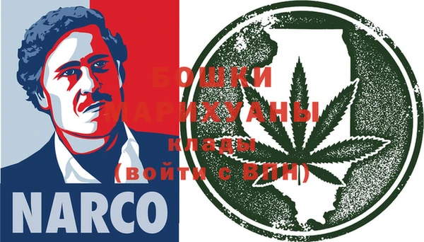 2c-b Пестово