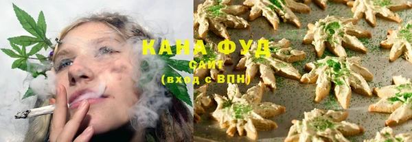 индика Коряжма