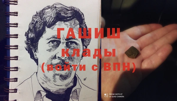 индика Коряжма