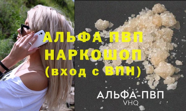 индика Коряжма