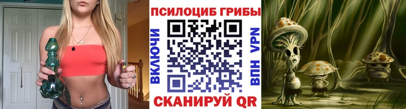 Псилоцибиновые грибы Psilocybine cubensis  blacksprut ТОР  Костерёво 