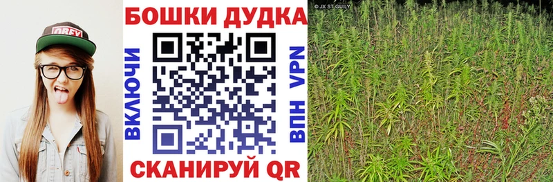 как найти закладки Костерёво блэк спрут рабочий сайт Конопля марихуана